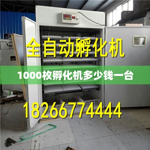 1000枚孵化机多少钱一台(孵化机小型多少钱一台) 1000枚孵化机多少钱一台(孵化机小型多少钱一台)