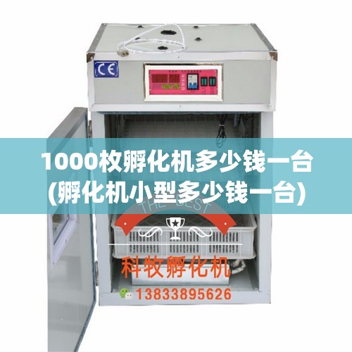 1000枚孵化机多少钱一台(孵化机小型多少钱一台) 1000枚孵化机多少钱一台(孵化机小型多少钱一台)