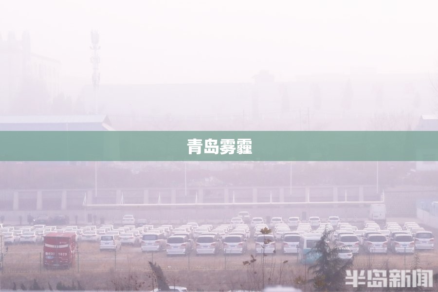 青岛雾霾(青岛雾霾最严重的三个城市)