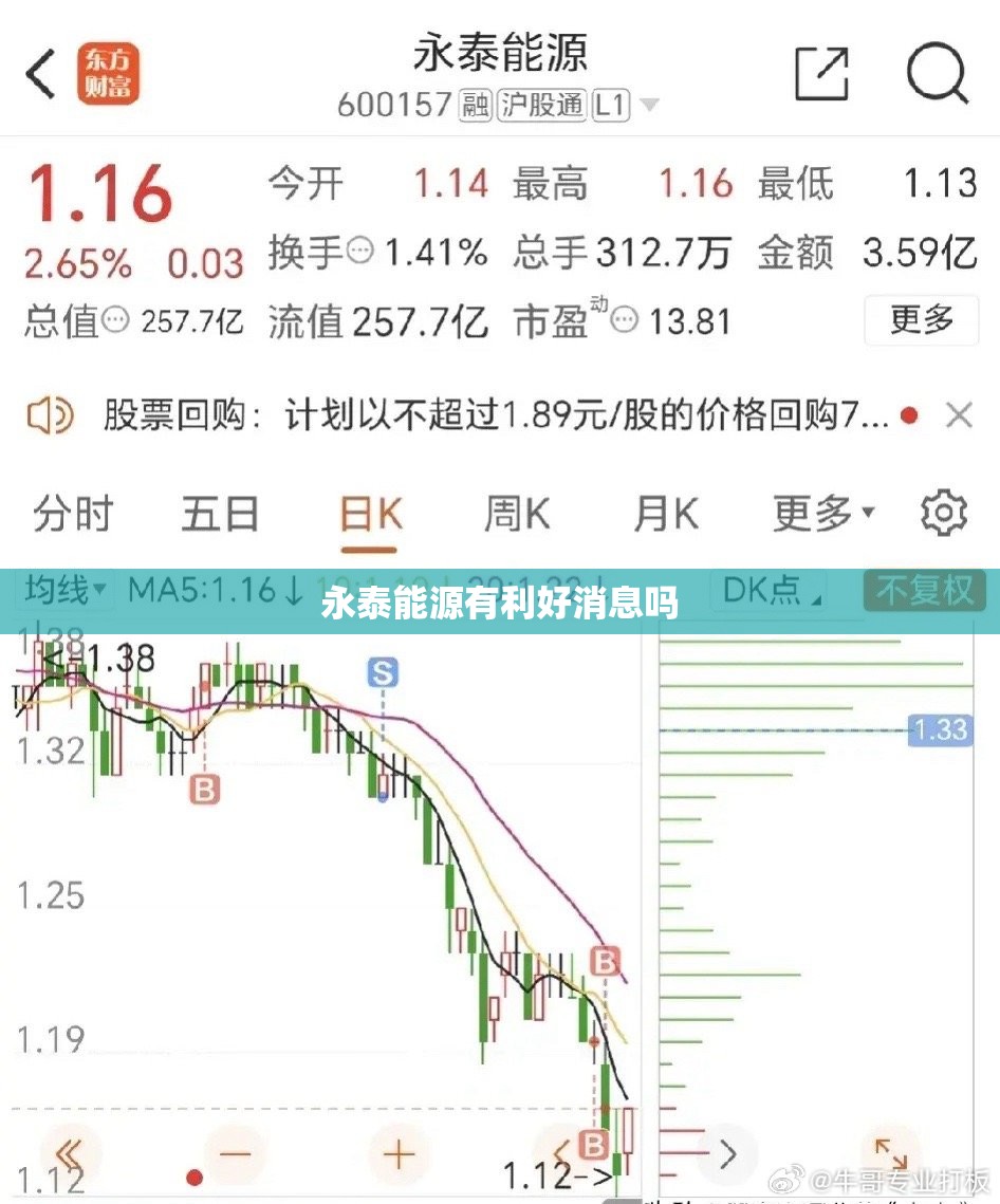 【永泰能源有利好消息吗,永泰能源有潜力吗】