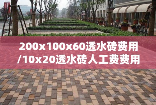 200x100x60透水砖费用/10x20透水砖人工费费用