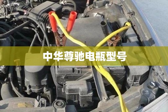中华尊驰电瓶型号(中华v6电瓶型号图片) 中华尊驰电瓶型号(中华v6电瓶型号图片)