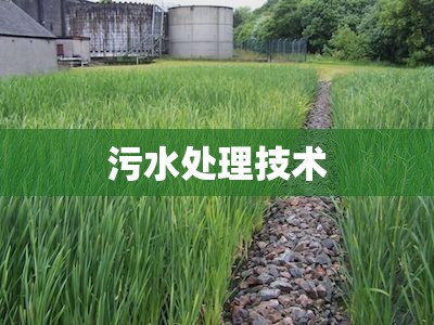 污水处理技术(污水处理技术员工作内容)