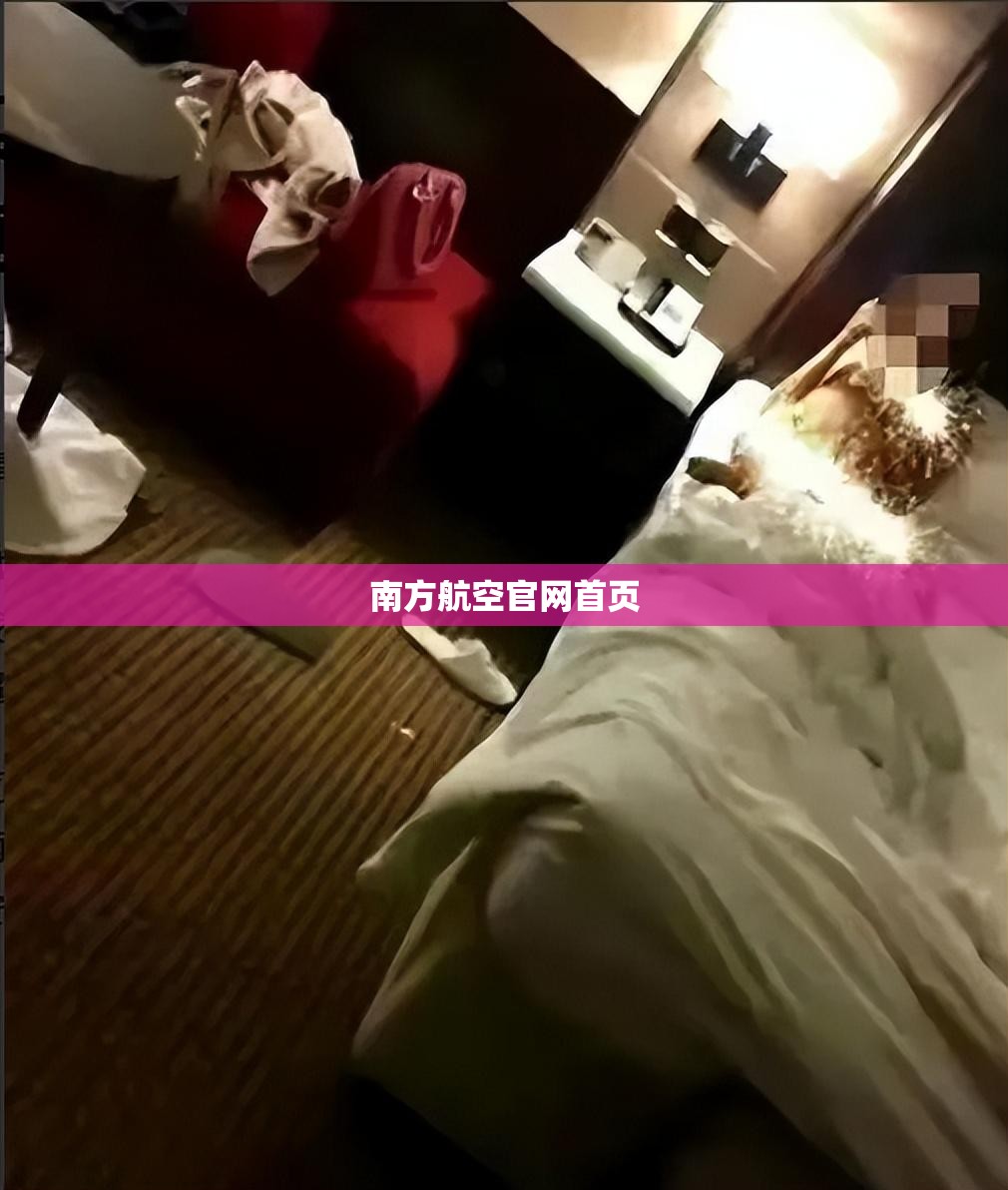 南方航空官方网站首页(中国南方航空官方网站首页)