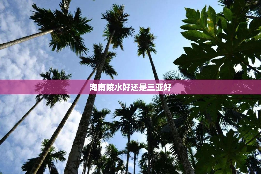 海南陵水好还是三亚好(海南陵水好还是三亚好?带你重新认识!)