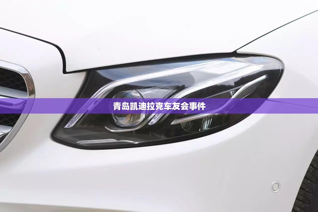 【青岛凯迪拉克车友会事件,青岛捷达车友会乱相图片】