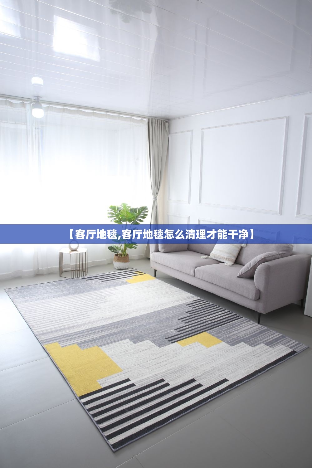 【客厅地毯,客厅地毯怎么清理才能干净】