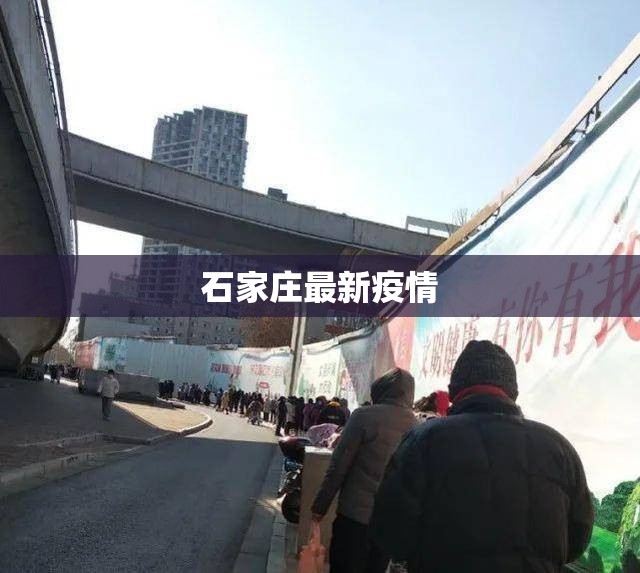 石家庄最新疫情/石家庄最新疫情消息今天 石家庄最新疫情/石家庄最新疫情消息今天