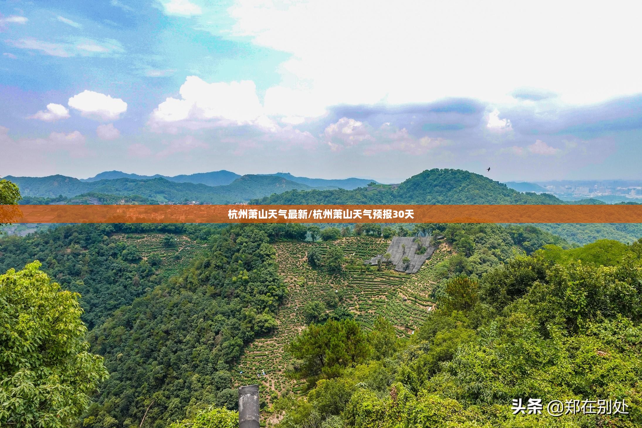 杭州萧山天气最新/杭州萧山天气预报30天