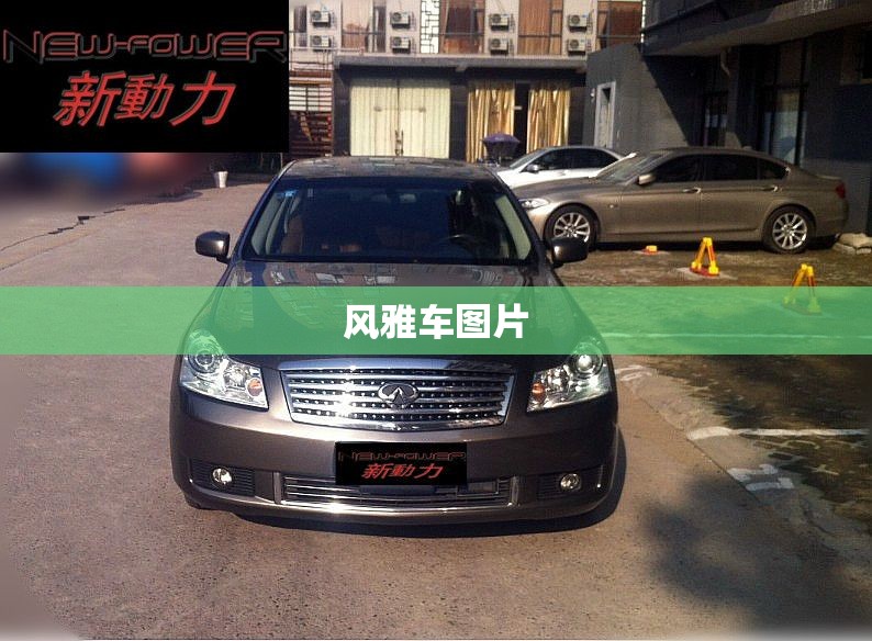 【风雅车图片,风雅乐府图片】