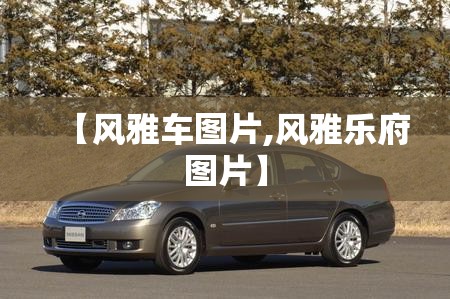 【风雅车图片,风雅乐府图片】