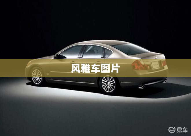 【风雅车图片,风雅乐府图片】