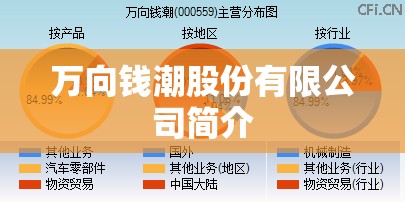 万向钱潮股份有限公司简介(万向钱潮股份公司产品介绍)