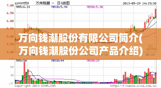 万向钱潮股份有限公司简介(万向钱潮股份公司产品介绍)