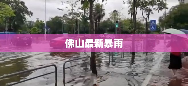 【佛山最新暴雨,佛山暴雨大风天气预报】