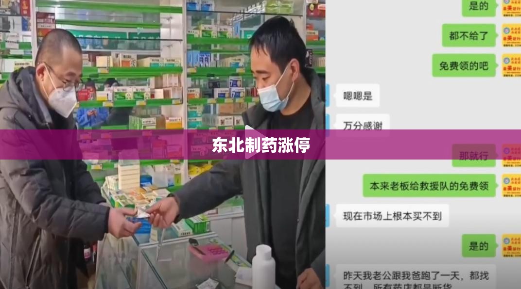 东北制药涨停(东北制药股票发布公告)