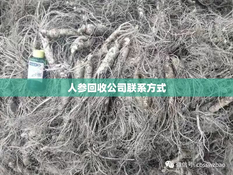保暖内衣厂家批发5元/保暖内衣批发去哪里进货