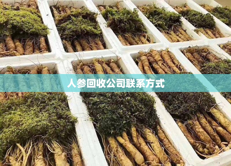 人参回收公司联系方式(人参回收费用多少一颗)