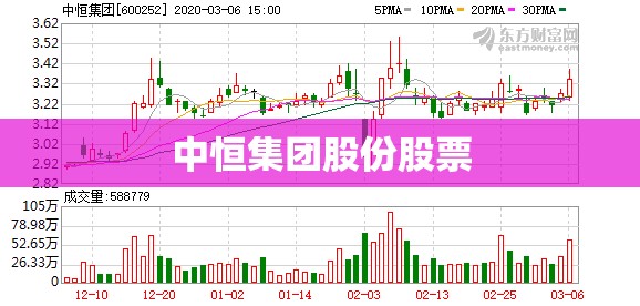 中恒集团股份股票(中恒集团股份股票历史比较高价)