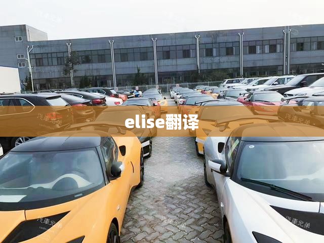 elise翻译/elements的翻译
