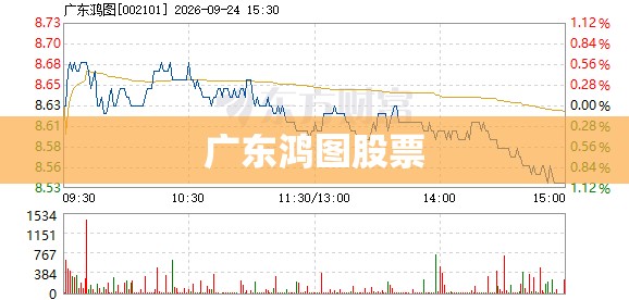 【广东鸿图股票,广东鸿图股票今日行情走势】