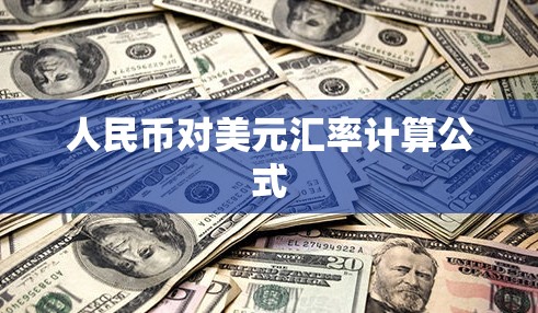 人民币对美元汇率计算公式(人民币对美元汇率预测)