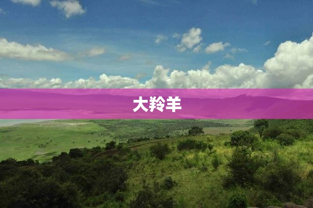 【大羚羊,大羚羊装甲车】