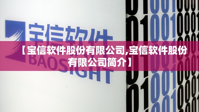 【宝信软件股份有限公司,宝信软件股份有限公司简介】