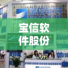 【宝信软件股份有限公司,宝信软件股份有限公司简介】