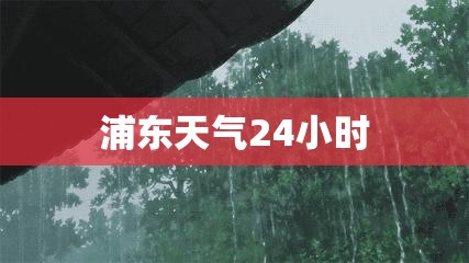 浦东天气24小时/浦东天气24小时预报最新消息