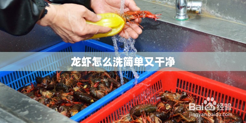 【龙虾怎么洗简单又干净,龙虾怎么洗简单又干净妙招姐】