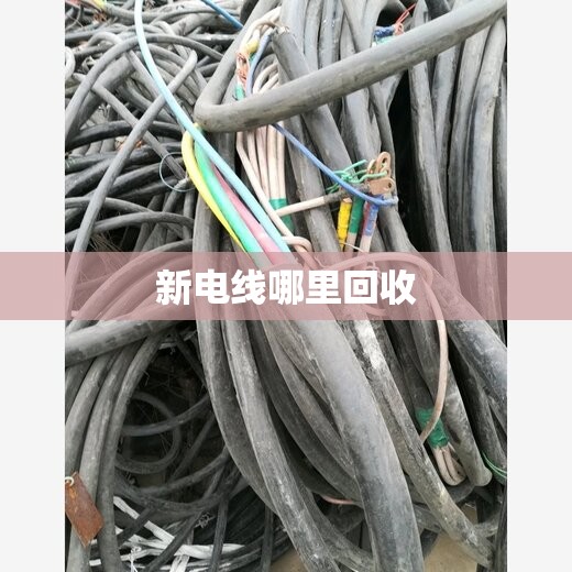 【汽油泵多少钱,迈腾车油泵汽油泵多少钱】 【汽油泵多少钱,迈腾车油泵汽油泵多少钱】
