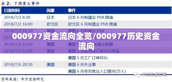 000977资金流向全览/000977历史资金流向