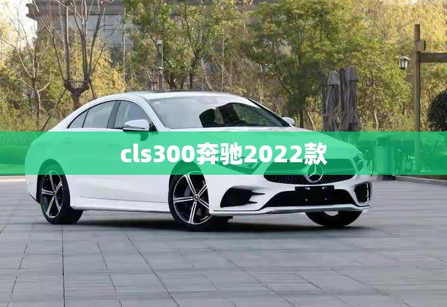 【cls300奔驰2022款,奔驰cls300 2022款火花塞型号】