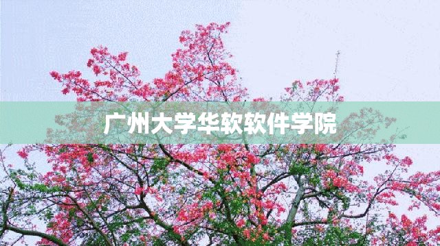 广州大学华软软件学院(广州大学华软软件学院学费)