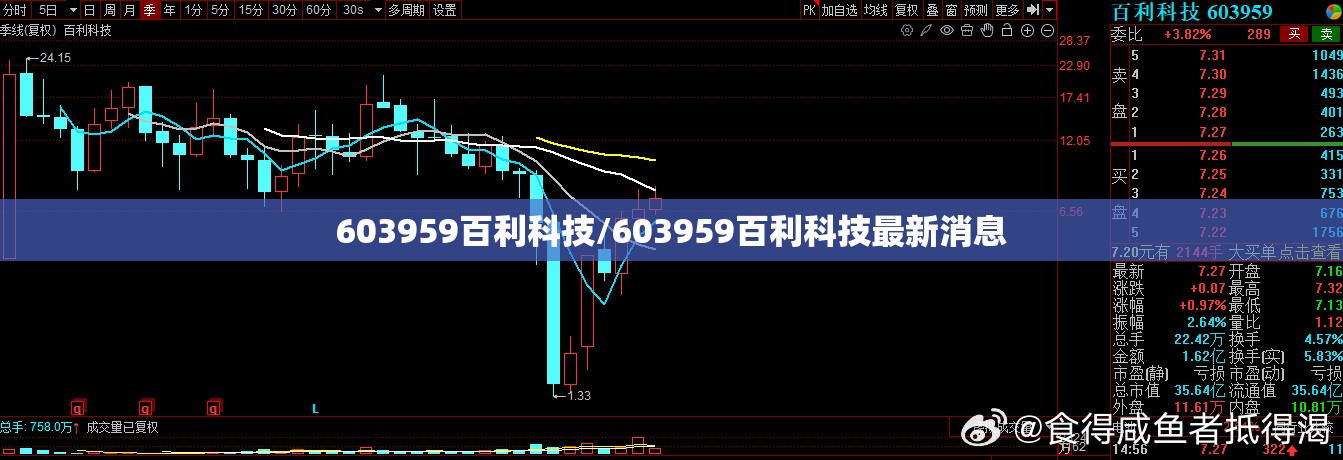 603959百利科技/603959百利科技最新消息