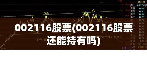002116股票(002116股票还能持有吗)