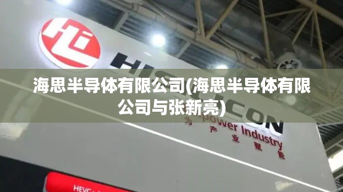 海思半导体有限公司(海思半导体有限公司与张新亮)