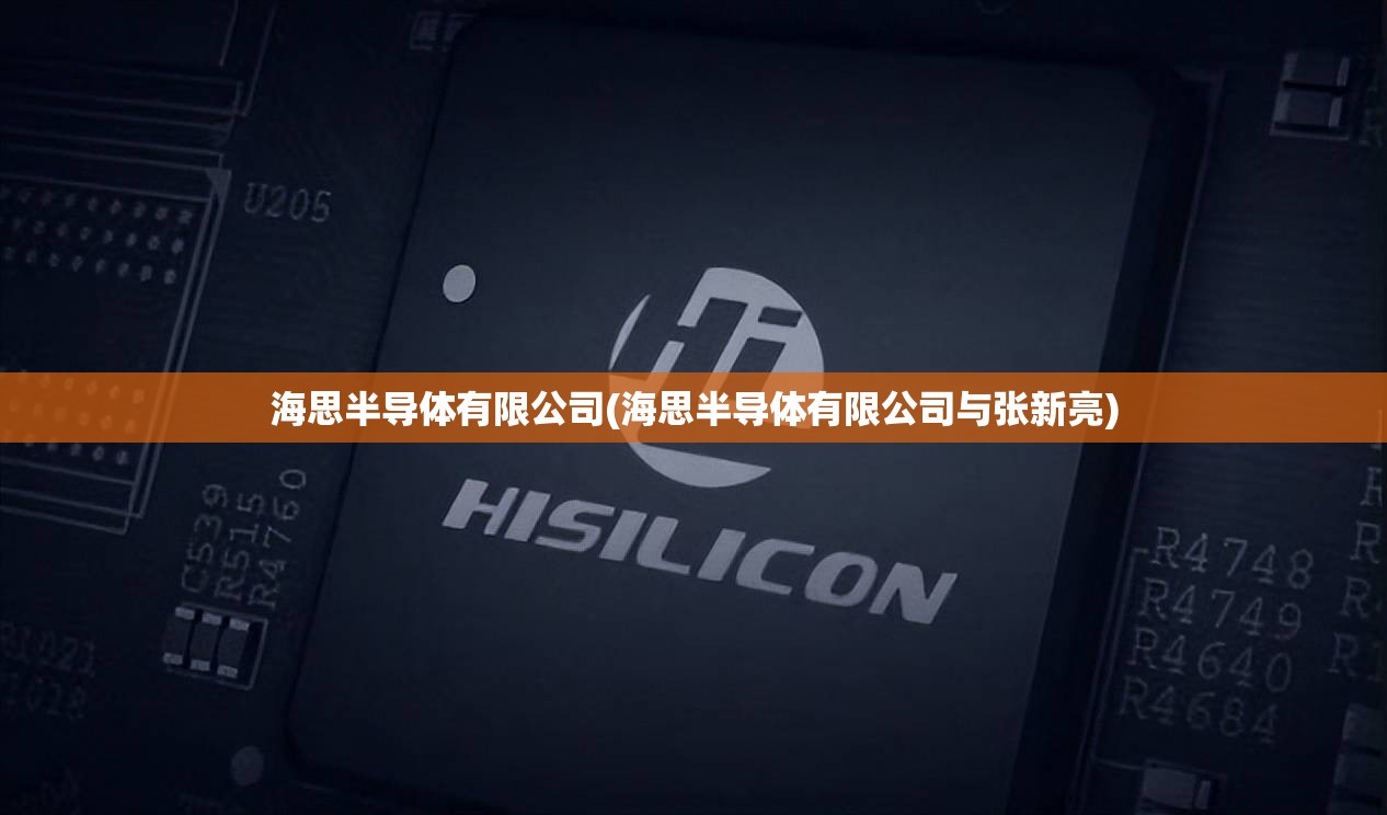 海思半导体有限公司(海思半导体有限公司与张新亮)