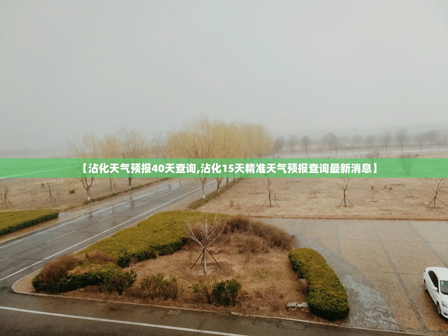 【沾化天气预报40天查询,沾化15天精准天气预报查询最新消息】