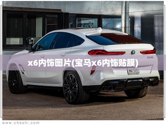 x6内饰图片(宝马x6内饰贴膜) x6内饰图片(宝马x6内饰贴膜)