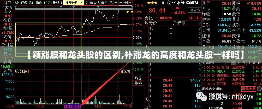 【领涨股和龙头股的区别,补涨龙的高度和龙头股一样吗】
