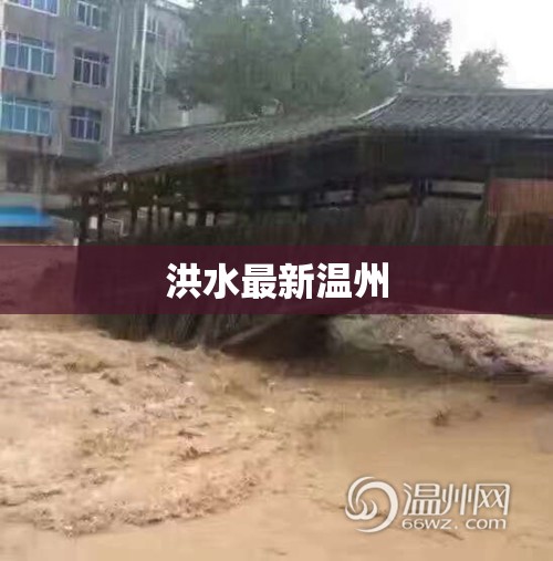 洪水最新温州(温州最近的洪水事件)
