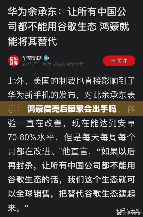 鸿蒙借壳后国家会出手吗(鸿蒙天成在美国借壳了吗)