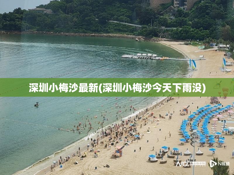 深圳小梅沙最新(深圳小梅沙今天下雨没)