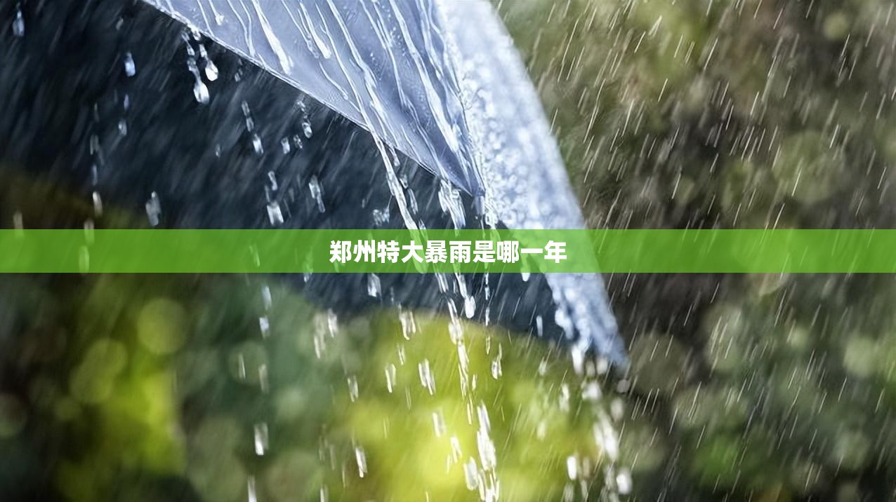 【郑州特大暴雨是哪一年,郑州2021年特大暴雨死亡人数】