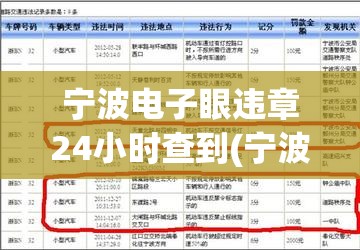 宁波电子眼违章24小时查到(宁波电子拍违章几天能查到)