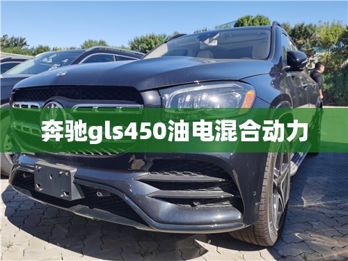 奔驰gls450油电混合动力/奔驰GLs450油耗真实是多少