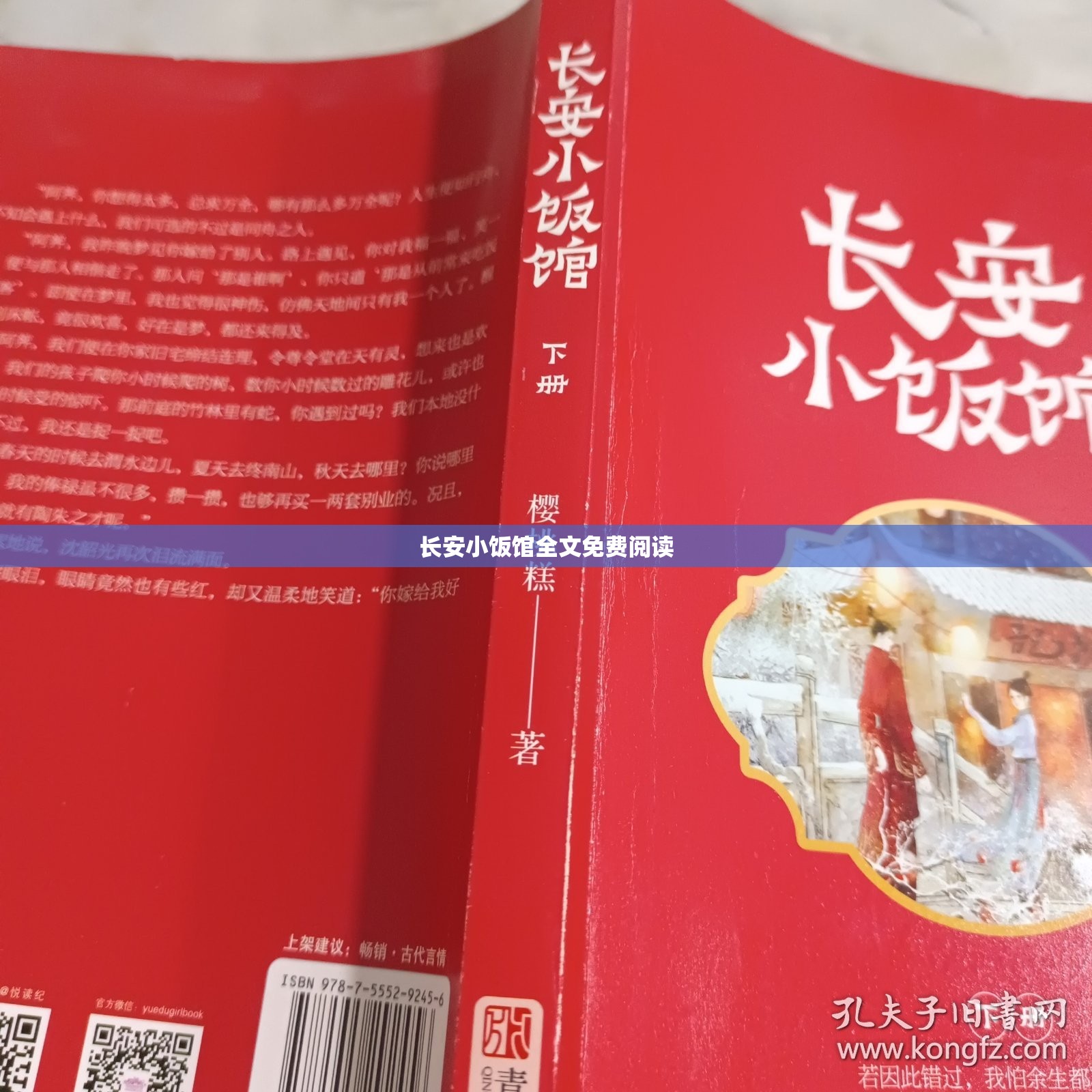 长安小饭馆全文免费阅读(长安小饭馆全文免费阅读无重复)