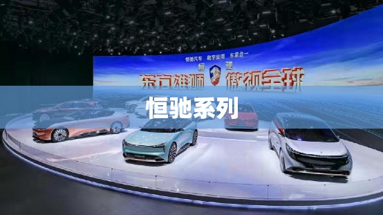 恒驰系列/恒驰系列 车型